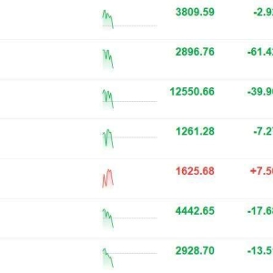 A股三大股指走低，创业板指跌超2%，沪指跌0.08%，深成指跌0.32%，CPO、电池、半导体、 ...