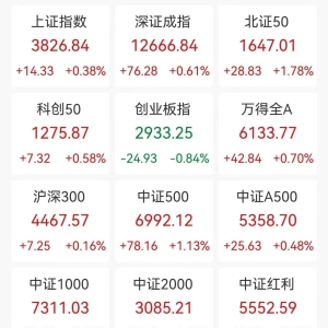A股收评：沪指涨0.38%创业板指跌0.84%，北证50涨1.78%创新高，PEEK材料、机器人板块走 ...