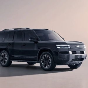 钛系列第二款量产车上市   方程豹熊甜波：2026年将推轿车系列产品 ...