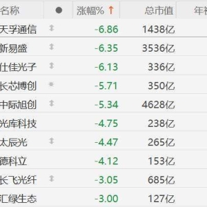 A股CPO概念集体下挫，天孚通信、新易盛跌超6%，长芯博创、中际旭创跌5%！大摩：光模块 ...