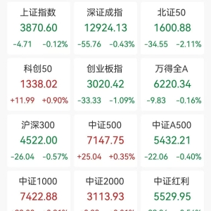A股收评：冲高回落三大指数齐跌，创业板指跌1.09%北证50跌2.11%，存储芯片、有色金属 ...