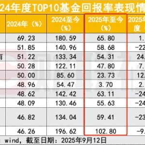 冠军魔咒打破了？2024年TOP10主动权益基金全数正收益，心路历程不同 ...