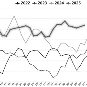 烧碱供应压力增加
