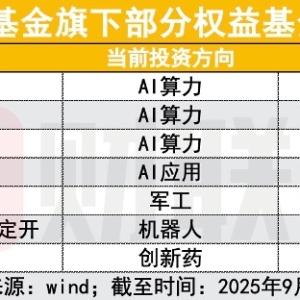 何以“小而美”？中小基金公司业绩霸屏逆袭