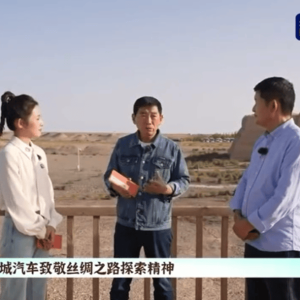 坚守长期主义 长城汽车以公益行动守护敦煌文化 助力莫高窟风沙防护 ...