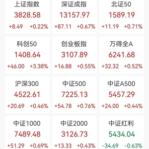 A股收评：三大指数集体上涨，创业板指涨0.55%科创50涨3.38%，贵金属、消费电子走高， ...