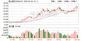 股价连续暴涨再创历史新高 海立股份发澄清三连：“借壳、重组、资产注入”消息均不实 ...