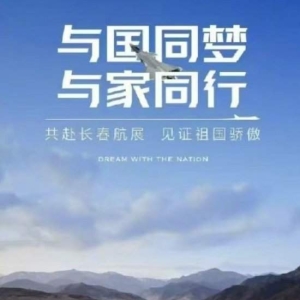 理想汽车回应长春航展海报情况：该主题使用之前与长春航空展方面做过沟通与确认 ...