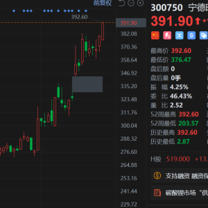 宁德时代A股早盘震荡拉升现涨超3%，盘中股价续创历史新高！成交额约65亿 ...
