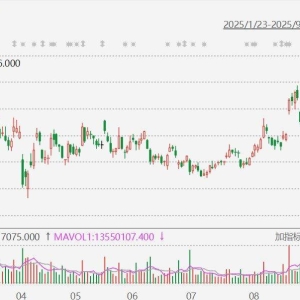 小鹏汽车涨超5%！小鹏汽车董事长：明年量产并交付全球首架飞行汽车，低空飞行将会为城 ...