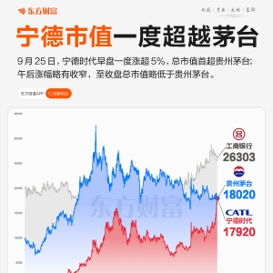 宁王市值一度反超茅台 谁将坐稳第5把交椅？