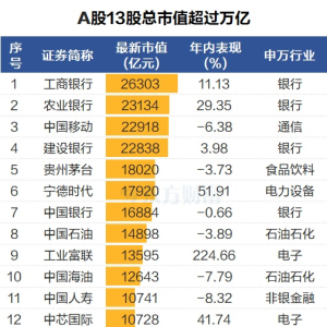 宁德紧追茅台！A股市值增加前20来了 锂电连续高增长股曝光
