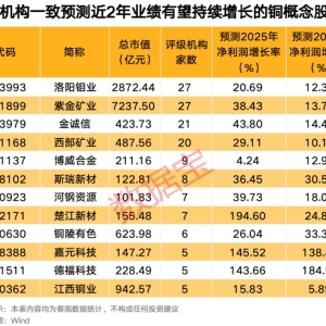 “黑天鹅”突袭 这种金属供给遭冲击 受益股来了