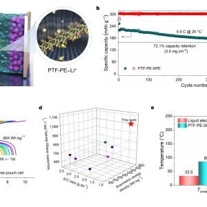 我国科学家在固态电池聚合物电解质研究领域取得进展