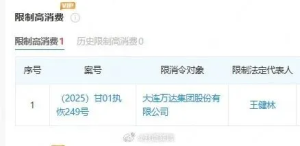 王健林被限制高消费