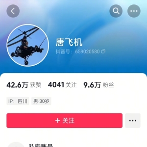 网红“唐飞机”驾超轻型飞机直播时坠机身亡 千名观众目睹全程 ...