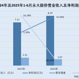永大股份：子公司官网现“神秘”相似第三方 两人供应商撑起超两千万元采购额 ...