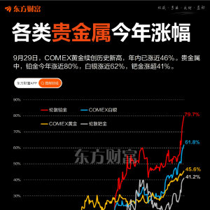 黄金再创历史新高 年内已暴涨46% 仍不敌这两种贵金属