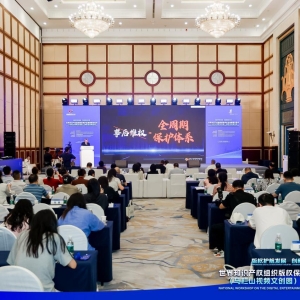 世界知识产权组织版权保护优秀案例示范点（马栏山视频文创园）项目座谈会在长沙举行 ...