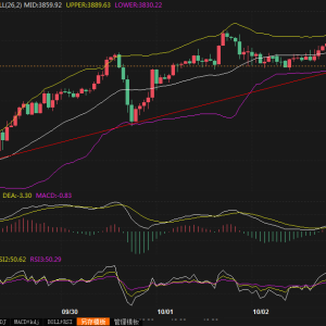 风险偏好+美元指数回升，金价震荡调整但下行空间似乎受限
