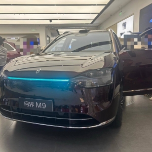 国庆黄金周车市实探：大6座SUV厮杀！有车型直降2万元，有品牌“兜底”购置税 ...