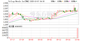 Trilogy Metals美股盘前一度暴涨超200%！白宫宣布入股