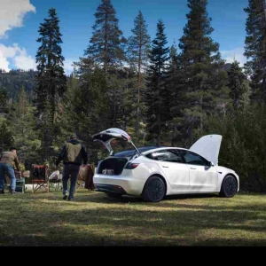 特斯拉“低价版”新车来了，它和其他品牌车型比怎么样？