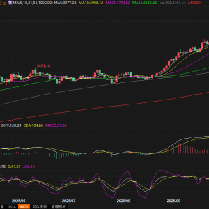 黄金交易提醒：哈马斯停火协议引发金价回调，“拐点”来了？ ...