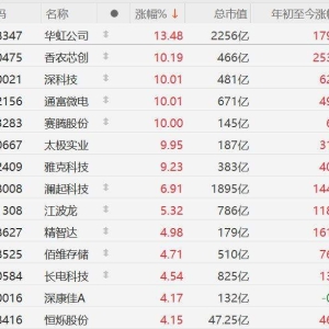 A股存储芯片股强势，华虹公司涨超13%、香农芯创涨超10%创历史新高！深科技、通富微电 ...