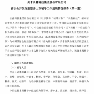 一单IPO 34人辅导 “芯片第一股”的超规格待遇？