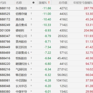 A股芯片股集体重挫，中芯国际、佰维存储两融折算率降为0！东芯股份、佰维存储跌超11% ...