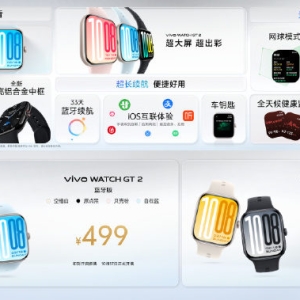vivo WATCH GT 2发布：2.07英寸超大AMOLED屏幕 499元起