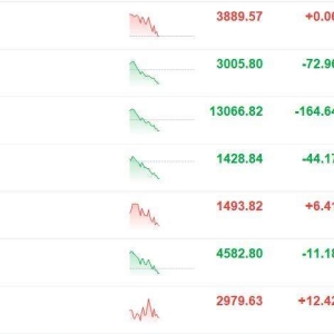A股指数集体跳水！科创50指数跌3%，成份股中，华海清科跌超8%，盛美上海跌超7%，中微 ...