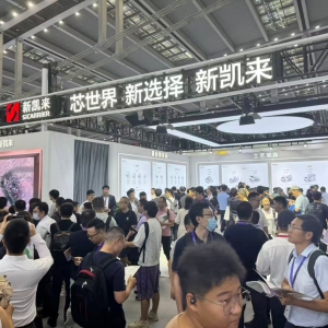 直击2025湾芯展：新凯来之外还有哪些看点？国产半导体正筑基强“链” ...