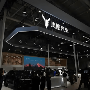 岚图递表，拿什么打动资本市场？