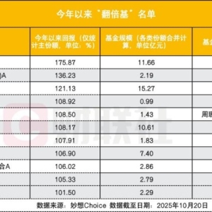 消失的“翻倍基”，当下仅存11只，25只基金被挤出翻倍阵营