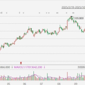 泡泡玛特高开近8%！第三季度整体收益同比增长245%-250%，中国同比增长185%-190%，海外 ...