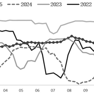 基本面持续压制 铁矿石承压运行