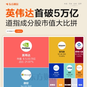 首破5万亿！英伟达市值占道指超两成