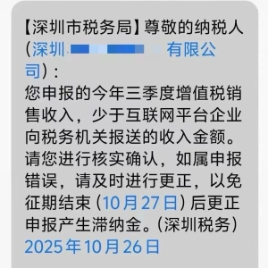 跨境电商迎最强合规监管时刻！卖家频收税务自查通知、咨询机构连夜做方案 ...