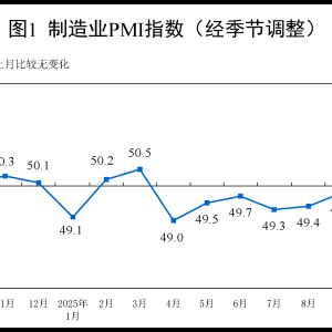 国家统计局：10月制造业PMI为49% 比上月下降0.8个百分点