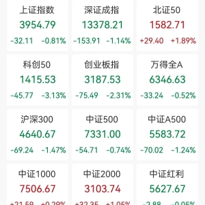 A股收评：三大指数集体下跌，沪指跌0.81%创指跌2.31%，北证50逆势涨1.89%，存储芯片、 ...