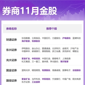 券商11月金股出炉：这些股获力挺 看好有色、医药等方向