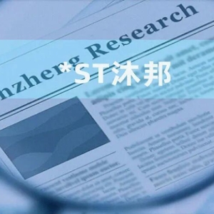 *ST沐邦：控股股东及关联方资金占用“悬而未决” 募投项目及在建工程上演信披“迷局” ...