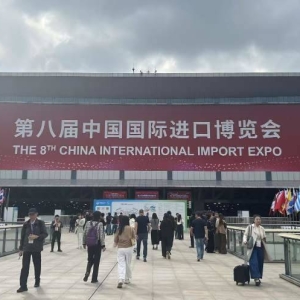 直击第八届进博会：特斯拉Cybercab迎来亚太首秀 12家知名外资车企探索出行新答案 ...