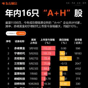 接连上市！年内“A+H”股已达16只 最高涨超110%