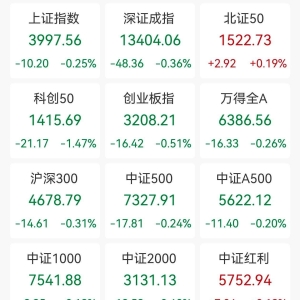 A股收评：三大指数集体下跌，沪指跌0.25%创业板指跌0.51%北证50涨0.19%，有机硅、氟化 ...