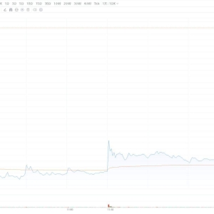 闻泰科技尾盘直线拉升逼近涨停，最后5分钟成交额超12亿！荷兰政府预计安世中国将很快 ...