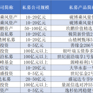 上市公司买私募“看中”13家管理人 出手超8亿元赚了吗？