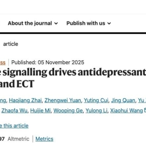 重大发现！全球3.3亿人的难题 被中国团队找到关键突破口